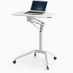 A-Henectus tincidunt